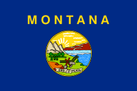 Montana State Flag